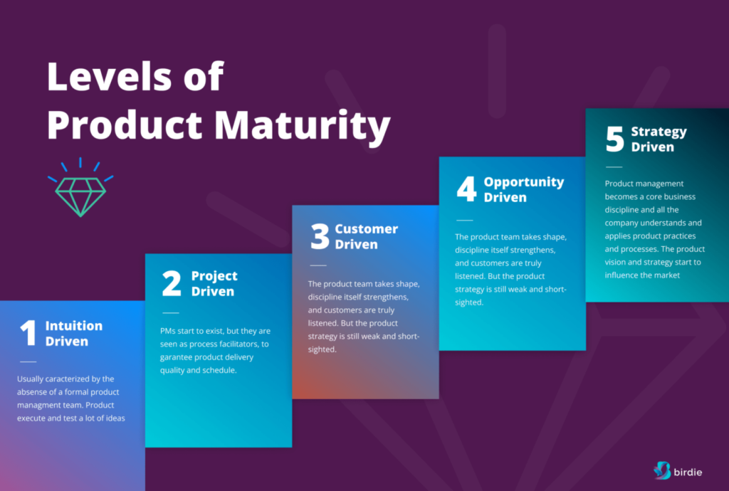 Modelo de Maturidade de Product Management da Birdie